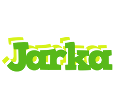 Jarka picnic logo