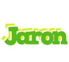 Jaron picnic logo