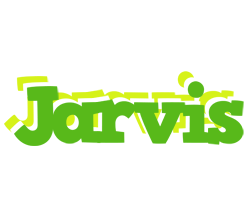 Jarvis picnic logo