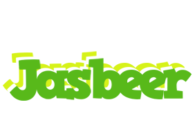 Jasbeer picnic logo