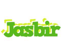 Jasbir picnic logo