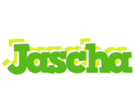 Jascha picnic logo