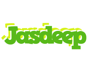 Jasdeep picnic logo