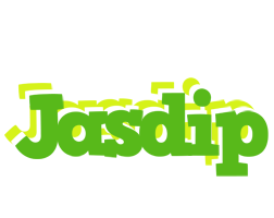 Jasdip picnic logo