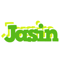 Jasin picnic logo