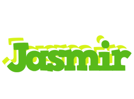 Jasmir picnic logo