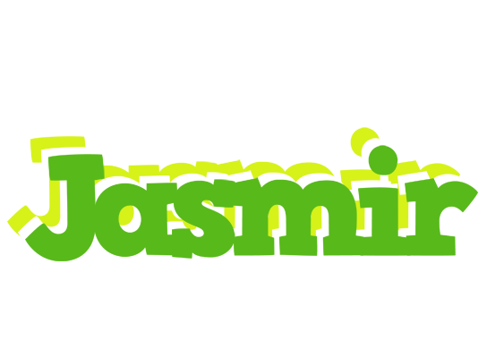 Jasmir picnic logo