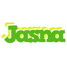 Jasna picnic logo