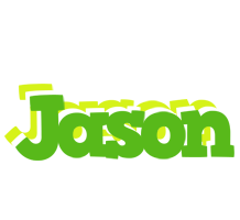 Jason picnic logo