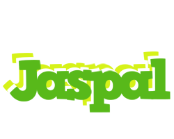 Jaspal picnic logo