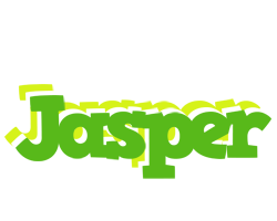 Jasper picnic logo