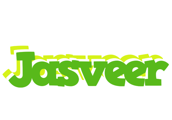 Jasveer picnic logo