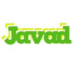 Javad picnic logo