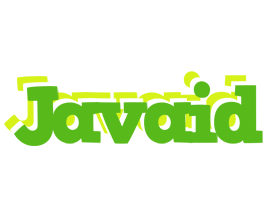 Javaid picnic logo