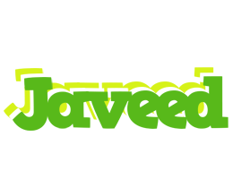 Javeed picnic logo