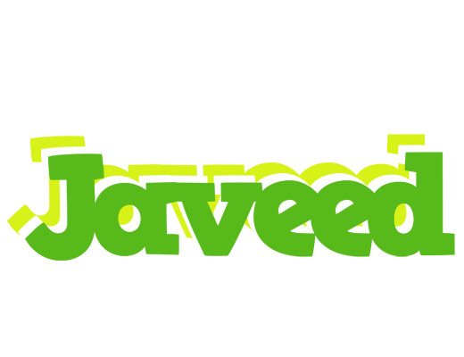 Javeed picnic logo