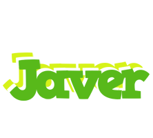 Javer picnic logo