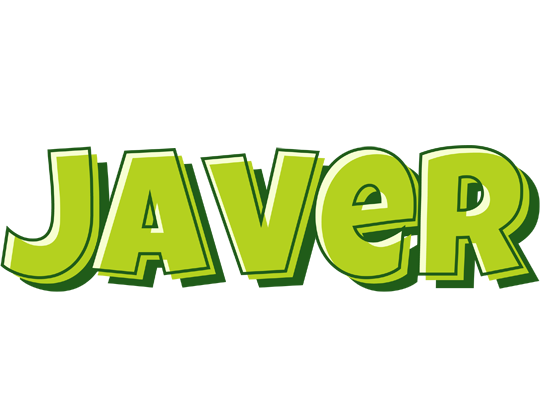 Javer summer logo