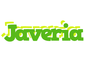 Javeria picnic logo