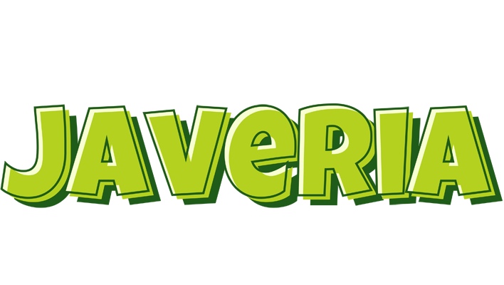 Javeria summer logo