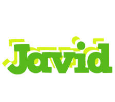 Javid picnic logo