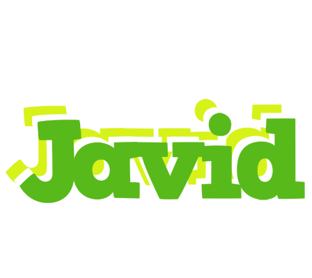 Javid picnic logo