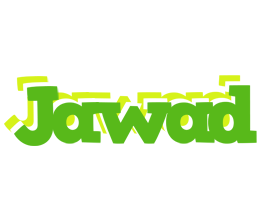 Jawad picnic logo