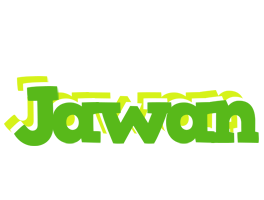 Jawan picnic logo