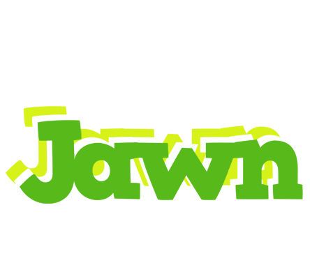 Jawn picnic logo
