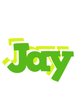 Jay picnic logo