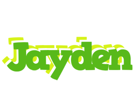 Jayden picnic logo