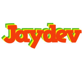 Jaydev bbq logo