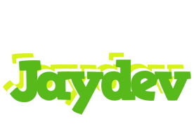 Jaydev picnic logo