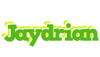 Jaydrian picnic logo