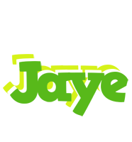 Jaye picnic logo