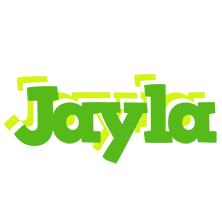 Jayla picnic logo