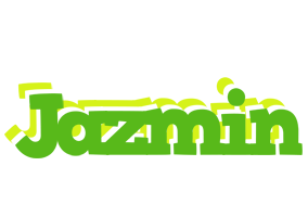 Jazmin picnic logo