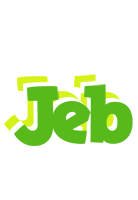 Jeb picnic logo