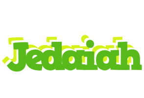 Jedaiah picnic logo