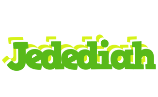 Jedediah picnic logo