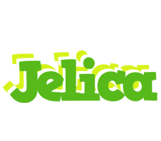 Jelica picnic logo