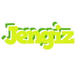 Jengiz citrus logo