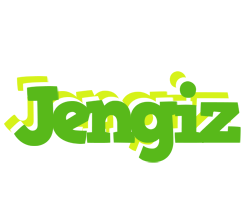 Jengiz picnic logo
