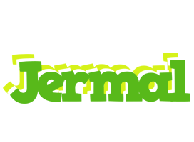 Jermal picnic logo