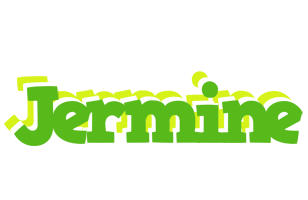 Jermine picnic logo