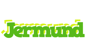 Jermund picnic logo