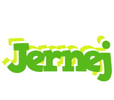 Jernej picnic logo