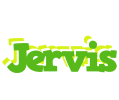 Jervis picnic logo