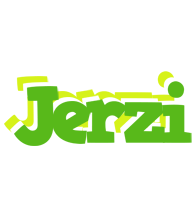 Jerzi picnic logo