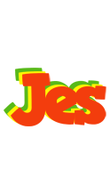 Jes bbq logo